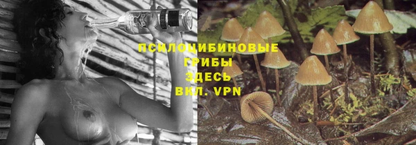 СК Заводоуковск