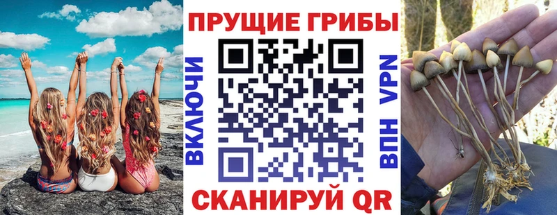 Псилоцибиновые грибы ЛСД  Жуковский 