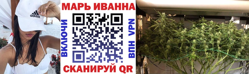 Конопля сатива  KRAKEN   Жуковский 